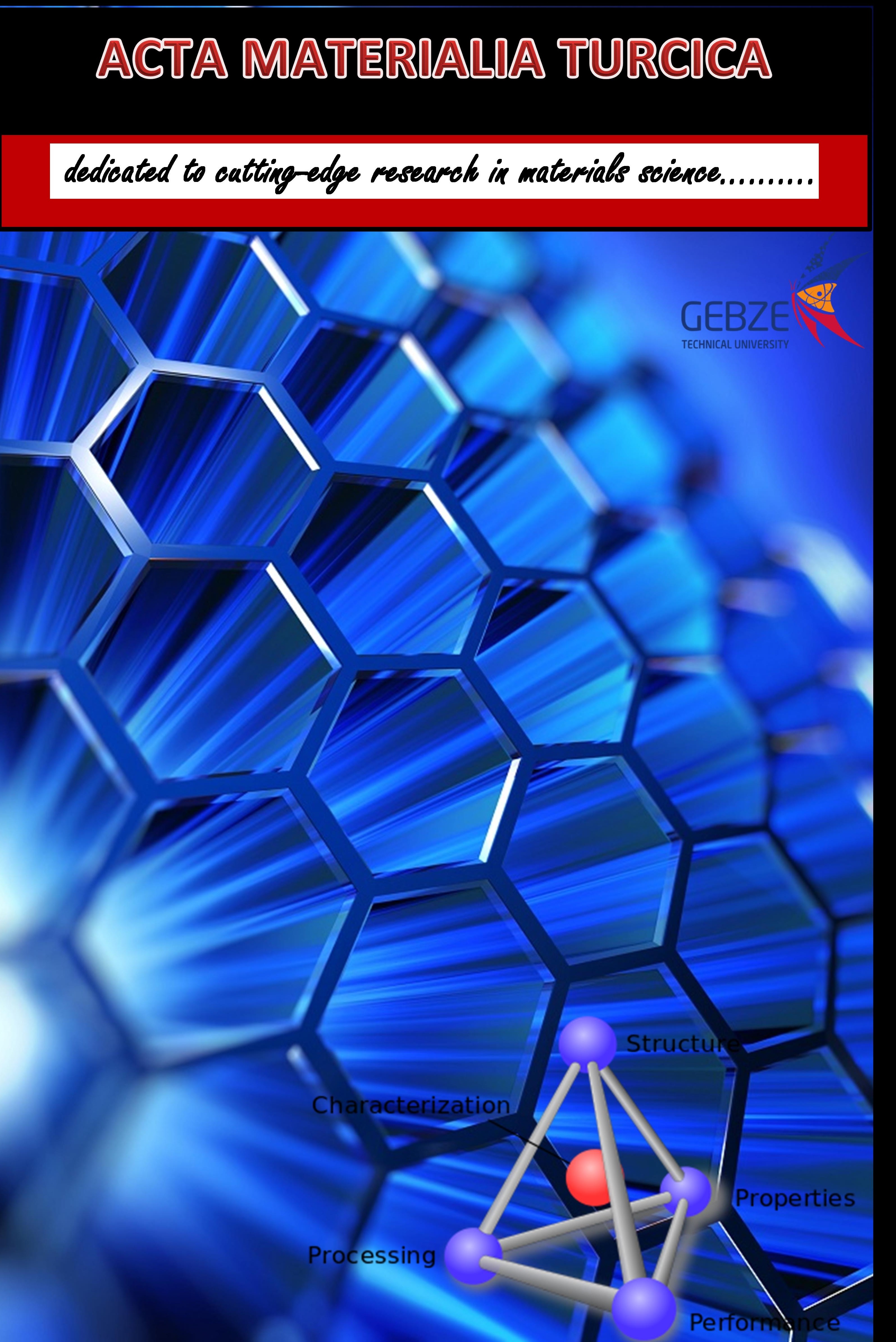 Acta Materialia Turcica