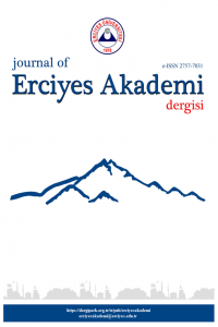 Journal of Erciyes Academy